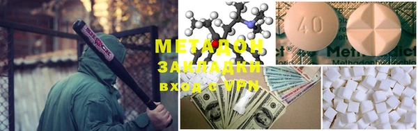гидра Инта
