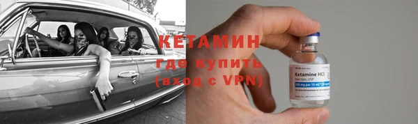 прущие грибы Инсар