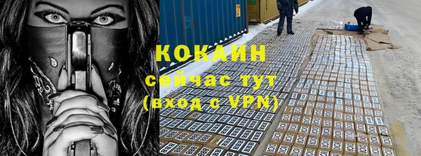 прущие грибы Инсар