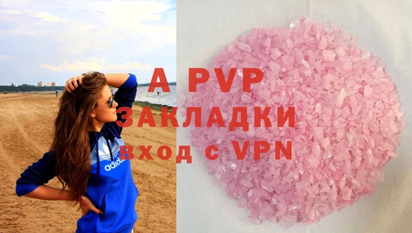 гидра Инта