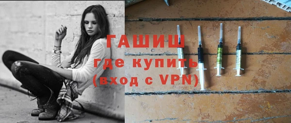 гидра Инта